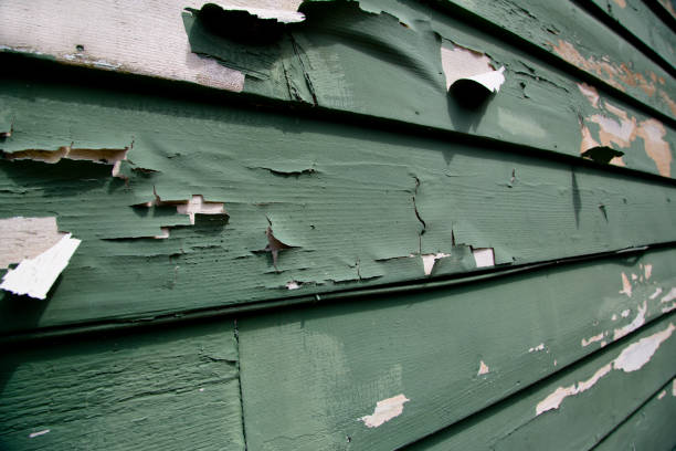 Best Hoarding Cleanup  in Glasgow, MT