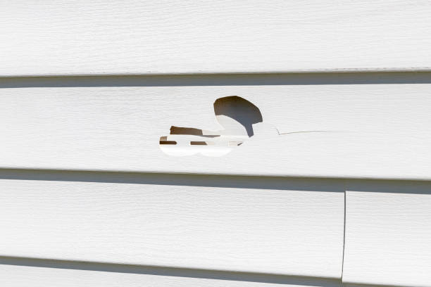 Trusted Glasgow, MT Junk Removal Experts